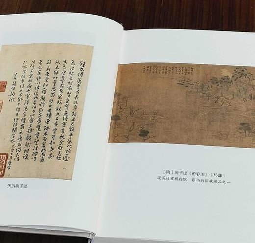 《张伯驹集：诗词谈艺丛录》，精装，32开，张伯驹著，上海古籍出版社2023年7月一版一印，700页，定价98，售价:69元。附赠：张伯驹先生125周年诞辰纪念书签。 商品图6