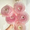 樱花粉超级洋牡丹5支 商品缩略图1