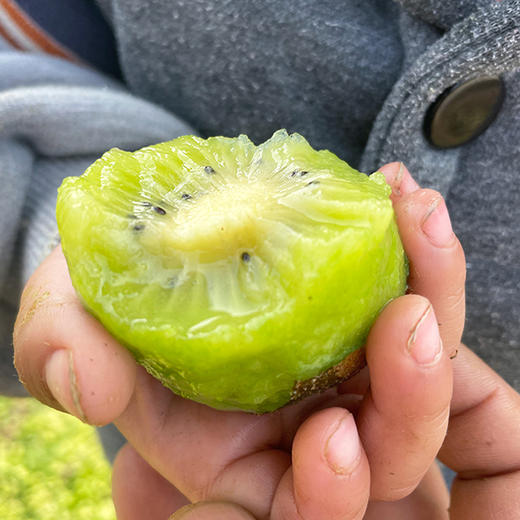 『周至徐香猕猴桃』清新软糯，香甜多汁，富含维C 商品图6