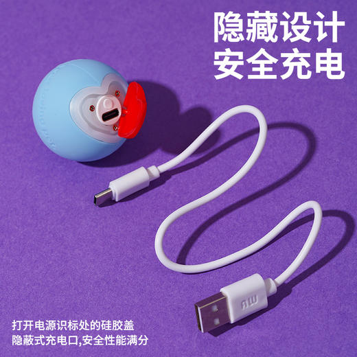 zeze爱心滚滚球-B （包邮） 商品图4