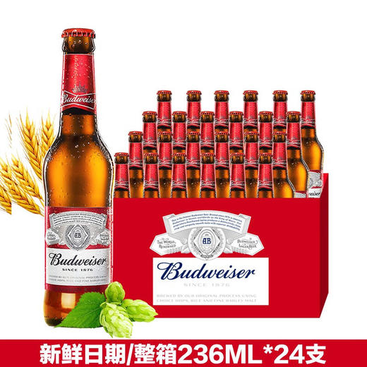 英国(红威)百威啤酒236ml/1瓶/12瓶/24瓶整箱 商品图3