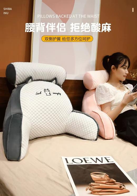 靠背抱枕 商品图0
