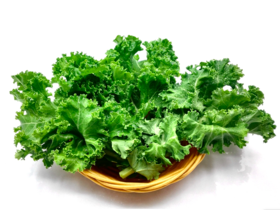 自产/有机种植  羽衣甘蓝