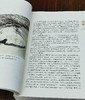 西洋镜丛书之：《5-14世纪中国雕塑》，16开平装，瑞典 喜仁龙著，广东人民出版社2019年一版一印，760页，定价228，售价68元。 商品缩略图6