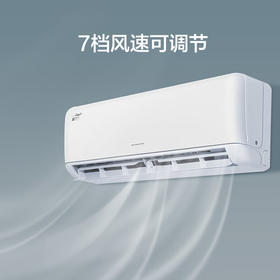 格力/空调/KFR-26GW/(26512)FNhAb-B1/凉之沁 变频冷暖 1匹 1级能效 挂机空调