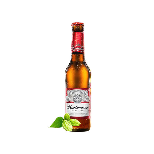英国(红威)百威啤酒236ml/1瓶/12瓶/24瓶整箱 商品图0