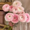 樱花粉超级洋牡丹5支 商品缩略图0