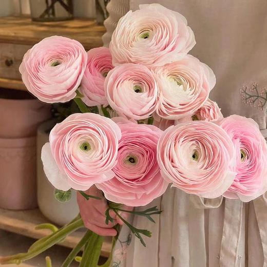 樱花粉超级洋牡丹5支 商品图0
