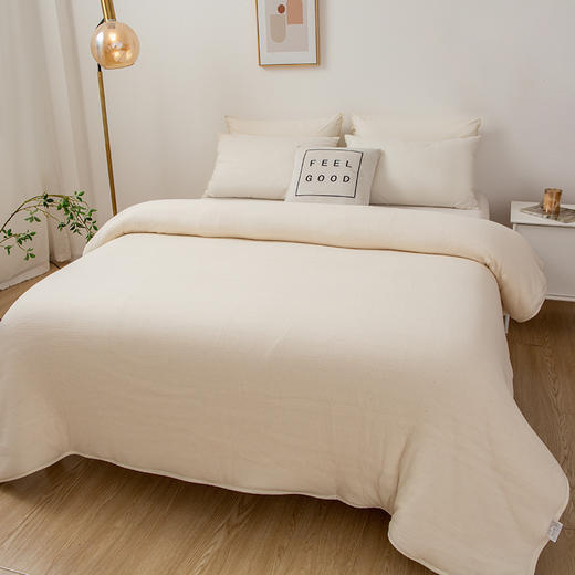 新疆棉花被芯 充满阳光的味道 蓬松柔软 久用不起坨 商品图3