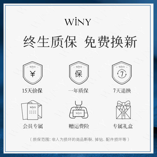 Winy925纯银生肖龙平安牌手链送女友闺蜜节日生日礼物 商品图6