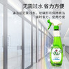 CHANTECLAIR大公鸡管家玻璃清洁剂 625ml 去污除垢神器淋浴房瓷砖家用清洗 商品缩略图2