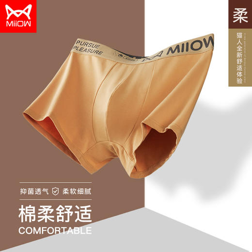 自营（泰利嘉）- 纯棉内裤男石墨烯一片式新疆棉男士平角裤纯色男四角裤头 3条装 商品图1