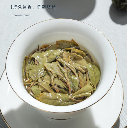 中秋节｜【如玉】龙珠白茶，福鼎白茶，2023年花香白牡丹，紧压白茶，净含量180g*1罐 商品图3