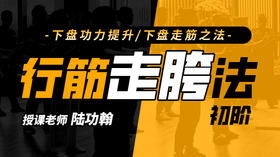 【身法步专训】1—行筋走胯法  自学课程