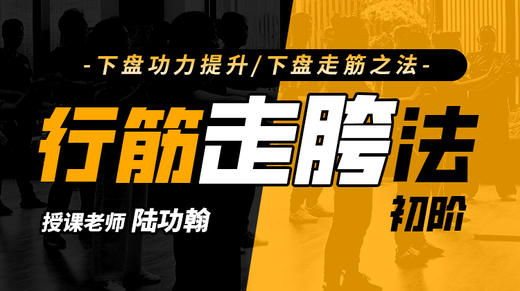【身法步专训】1—行筋走胯法  自学课程 商品图0