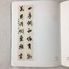 九届楹联展作品集 商品缩略图9