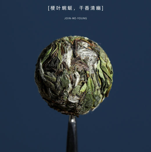 中秋节｜【如玉】龙珠白茶，福鼎白茶，2023年花香白牡丹，紧压白茶，净含量180g*1罐 商品图2