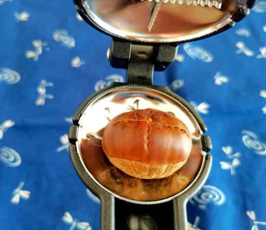 【每周一三五发货】【新鲜北京怀柔板栗油栗】10年生态种植万里长城脚下的大山深处！自然成熟香甜软糯生吃熟吃均可，每周1.3.5发货 商品图11