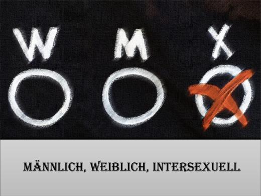 Männlich, Weiblich, Intersexuell - 1 商品图0