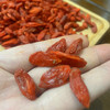 【清仓特价】青海特产 柴达木枸杞 农家种植500g/包 商品缩略图2