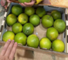 柠檬君生态柳丁（绿皮冰糖橙） 商品缩略图2