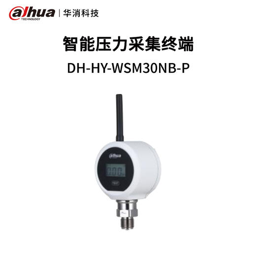 智能压力采集终端DH-HY-WSM30NB-P 商品图0