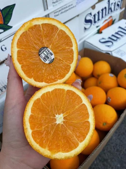 来自澳洲🇦🇺的鲜美【澳洲新奇士晚期脐橙🍊】☀️每一个都饱含阳光的温暖，色泽鲜亮的圆润外形❗️一掐果皮就有浓浓的果香溢出，✅多汁香甜，一口咬下去，满满的维生素C爆发在口中 商品图2