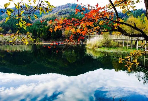 11月20日出发，大美淳安千岛湖秋色：杭州西湖、印象富春江、秘地之江村、建德湿地、千岛湖的美景与人文风光6天摄影 商品图6