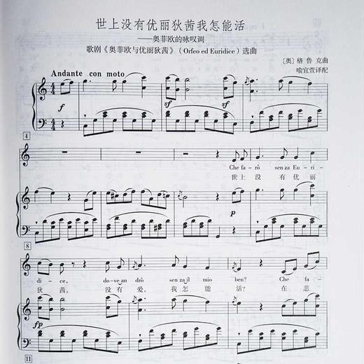 声乐曲选集(附光盘外国作品4修订版高等师范院校教材)  商品图3