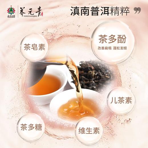养元青普洱控油洗发水500ml  22113498 商品图4