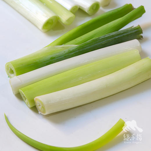生态大葱（个头小） | 合作生产*Eco-carrot | Coproduction 商品图1