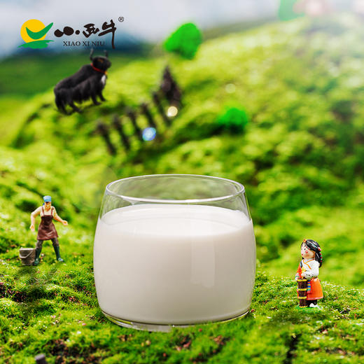 【光明&小西牛】牦牛高钙纯牛奶儿童学生孕妇营养早餐奶200ml*12盒整箱 商品图1