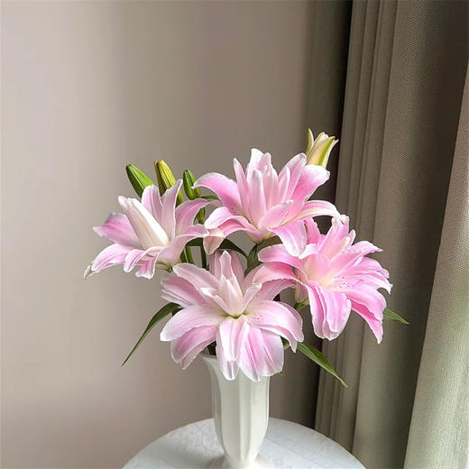 精品百合莲花1号莲花雅致多头重瓣 商品图6