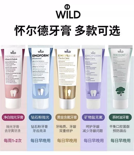 Dr.wild 怀尔德 瑞士成人/儿童牙膏 商品图1