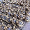 【长荡湖 大闸蟹】2.5~4两母蟹 螃蟹 商品缩略图3