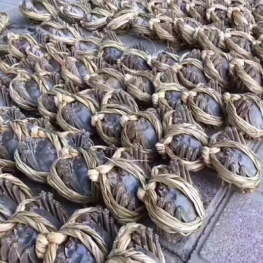 【长荡湖 大闸蟹】2.5~4两母蟹 螃蟹 商品图3