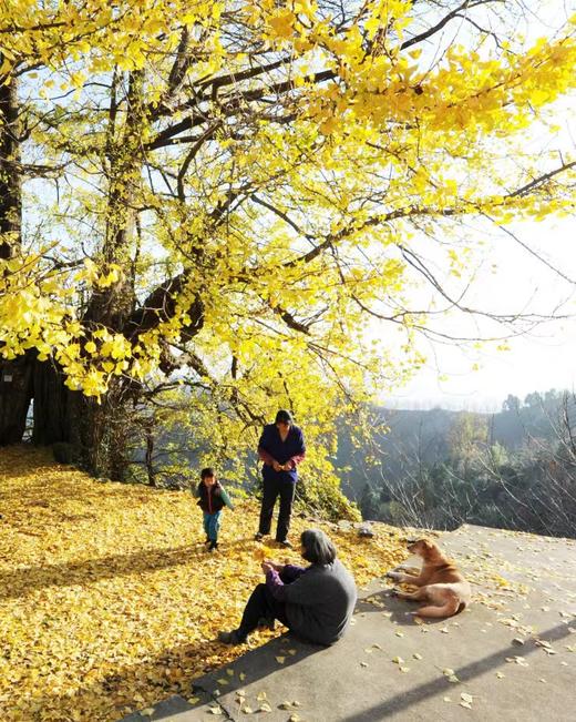 11月20日出发，大美淳安千岛湖秋色：杭州西湖、印象富春江、秘地之江村、建德湿地、千岛湖的美景与人文风光6天摄影 商品图13