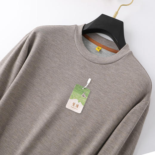 【一口价】兔绒【新款DG】大依优型大码长袖T恤加肥加大肥佬休闲宽松上衣胖子绅士保暖打底T恤 商品图5