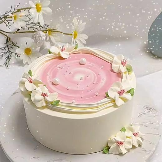 蝶兰 | Phalarnopsis 商品图0