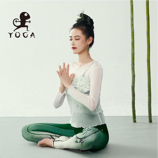 壁虎瑜伽【2310SY253】网纱透气长袖（无胸垫）【5天发货】 商品图3