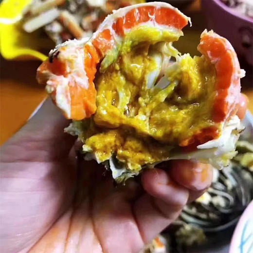 【长荡湖 大闸蟹】2.5~4两母蟹 螃蟹 商品图8