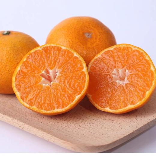 涌泉蜜橘 商品图0
