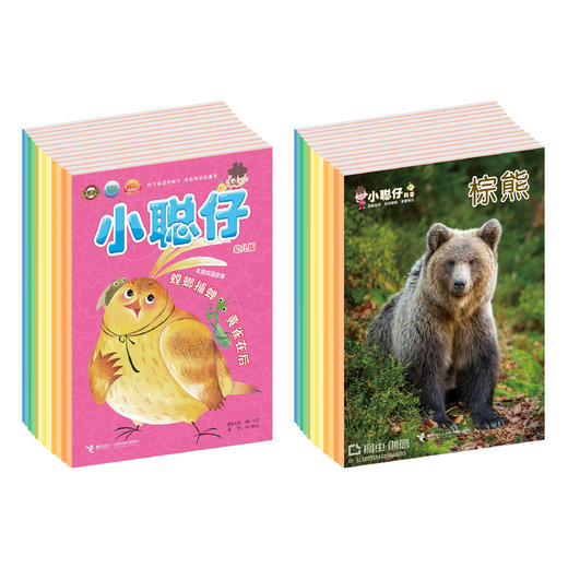 （LY）小聪仔2025年科普版+启蒙版+幼儿版 商品图4