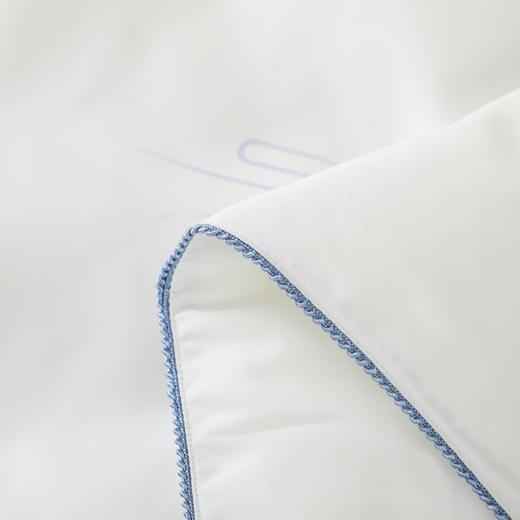 梦洁家纺 蚕丝纤维清爽被（花境）150*200cm 商品图3