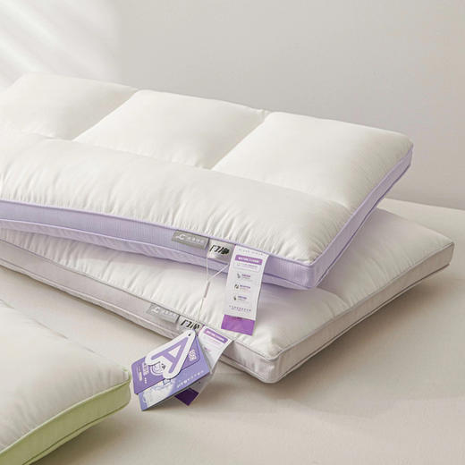 利路米闪净立体枕69元一只 商品图0