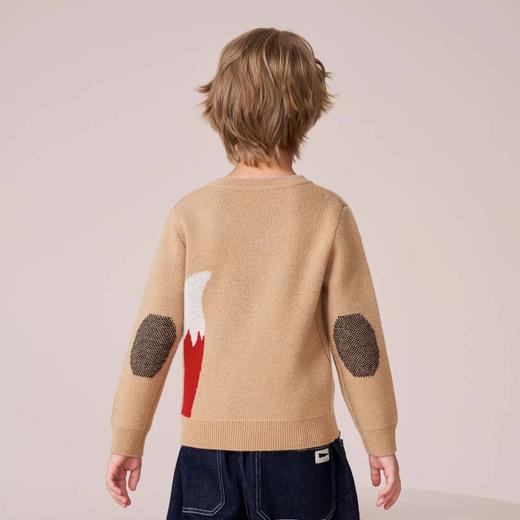 mettekids儿童100%羊绒衫2023秋冬新款提花工艺加厚针织男童毛衣 商品图3