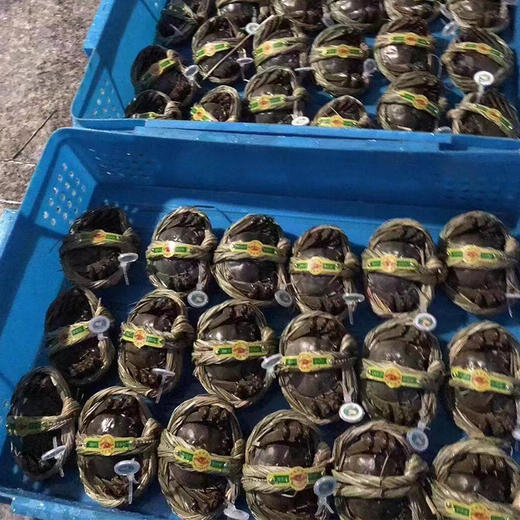 【长荡湖 大闸蟹】2.5~4两母蟹 螃蟹 商品图10