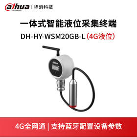 一体式智能压力采集终端DH-HY-WSM20GB-L（4G液压）