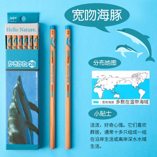 Tombow蜻蜓木头铅笔Hello Nature小学生考试绘图HB素描矫正握姿写练字2B 一年级儿童原木铅笔 商品图3