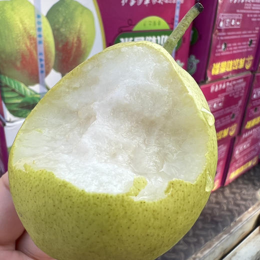 新疆库尔勒香梨 商品图3